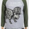 Boys long sleeve dinosaur t-shirt